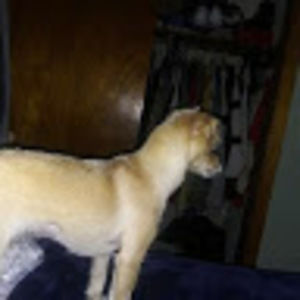 Meet your Posher, Eva